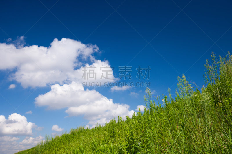 蓝色,云景,天空,足立区,留白,草原,水平画幅,无人,夏天,东京