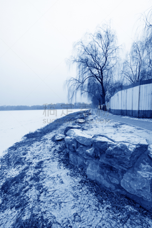 雪,死亡的植物,黄色,垂直画幅,天空,美,灵性,公园,褐色,无人