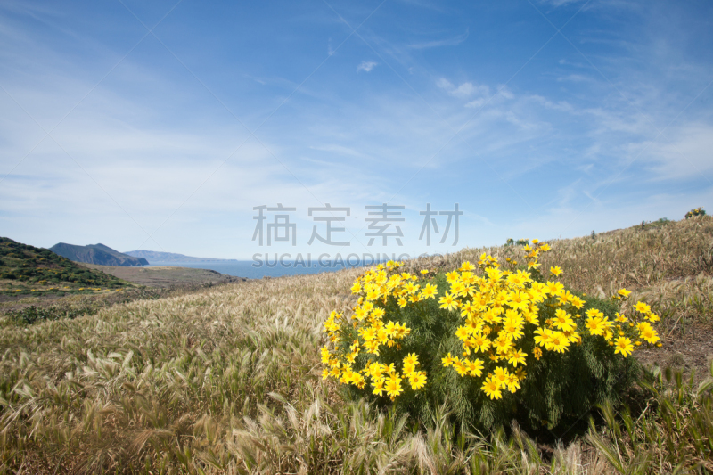 阿那卡帕海岛,圣巴巴拉,海峡群岛,天空,留白,水平画幅,无人,户外,草,云景