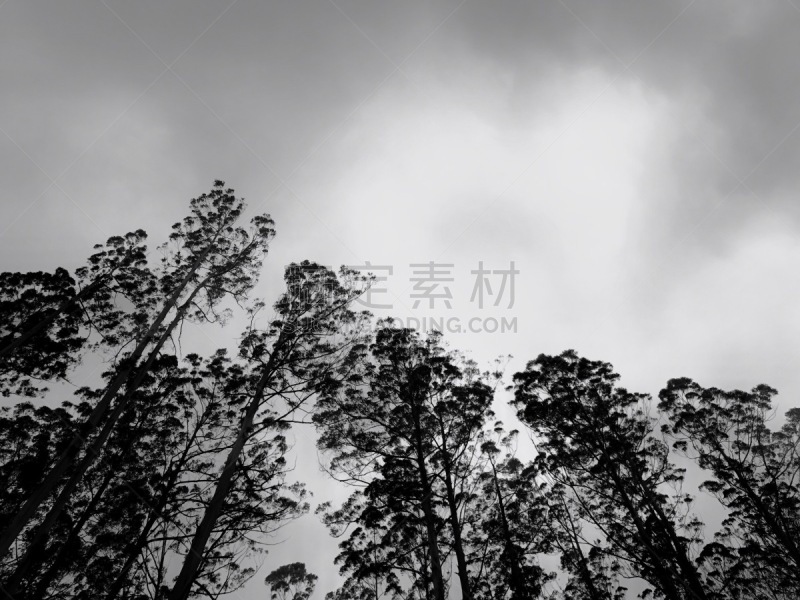 自然,云,图像,自然美,无人,黑白图片,澳大利亚,户外,天空,水平画幅