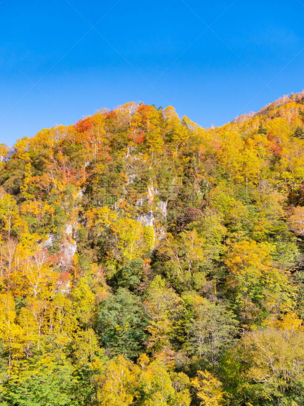 日本,山谷,风景,北海道,山,自然美,在底端,名声,居住区,获胜