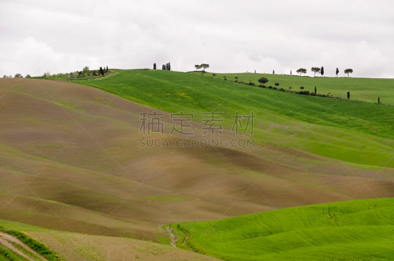 地形,托斯卡纳区,圣奎里科多尔恰,意大利柏树,瓦尔泰,蒙塔西诺,蒙达普西安诺,圣吉米尼亚诺,皮恩札,维得斯卡