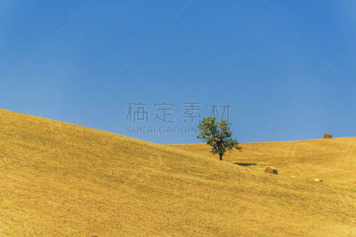 田地,地形,巴西利卡塔大区,选择对焦,夏天,农业,波坦察省,巴西利卡塔,云景,云