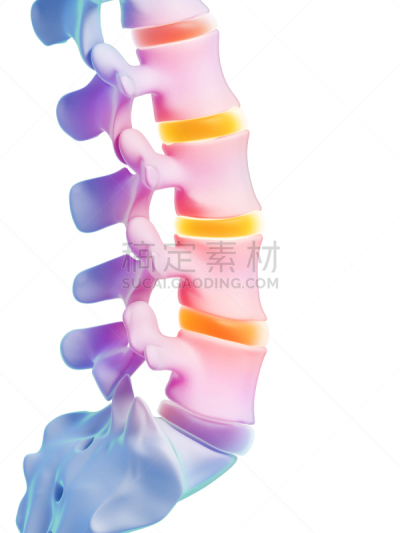 脊柱,痛苦,垂直画幅,身体受伤,脊骨神经科矫正,褐色,白人,男性,仅男人,仅成年人
