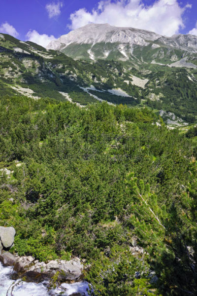 山,绿色,班斯科,皮林山脉,垂直画幅,水,休闲活动,无人,夏天,户外