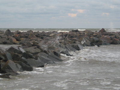 2002,韦兰运河,海藻灰,石勒苏益格-荷尔斯泰因,水平画幅,秋天,无人,德国,摄影,种植