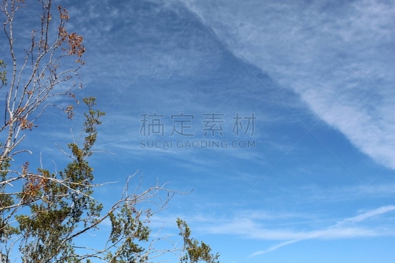 沙漠,二十九棵棕榈,选择对焦,活力,云景,浪漫,云,户外,诗人,克服困难