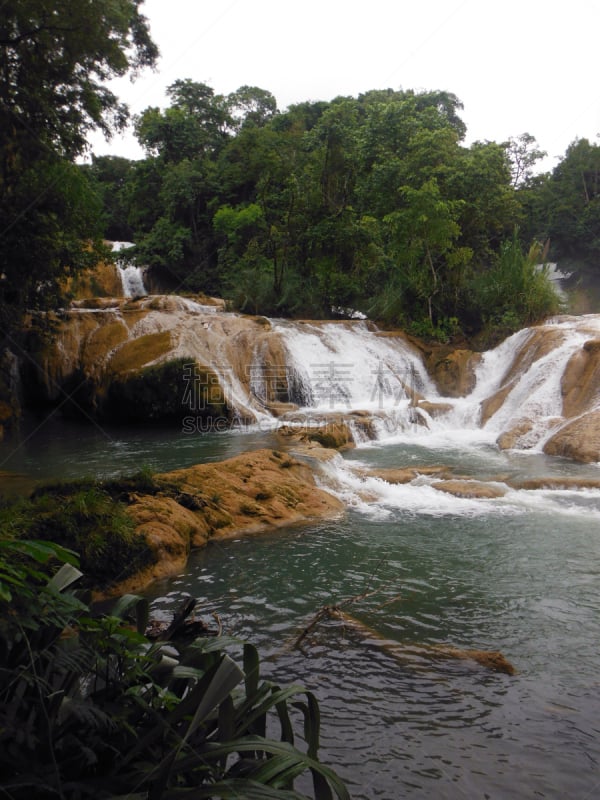 agua azul cascades,墨西哥,热带雨林,帕伦克,恰帕斯州,垂直画幅,水,旅游目的地,绿色