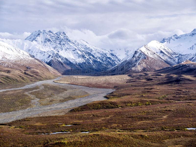 麦金利峰,黎明,冻原,针叶林,阿拉斯加,国内著名景点,雪,公园,自然美,河流