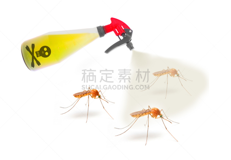 蚊子,农用喷雾器,塑胶,喷,水平画幅,杀虫剂,病虫害防治机具,绘画插图,登革热,特写