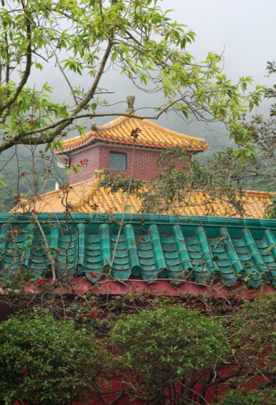 雾,宝塔,大屿山,垂直画幅,美,禅宗,枝繁叶茂,无人,夏天,户外