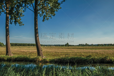 田地,小溪,丹姆,白昼,光,栽培植物,几乎,紧迫,树林,格林威治村