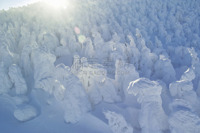 雾淞,自然,山形县,水平画幅,地形,雪,无人,日本,山形,地藏菩萨