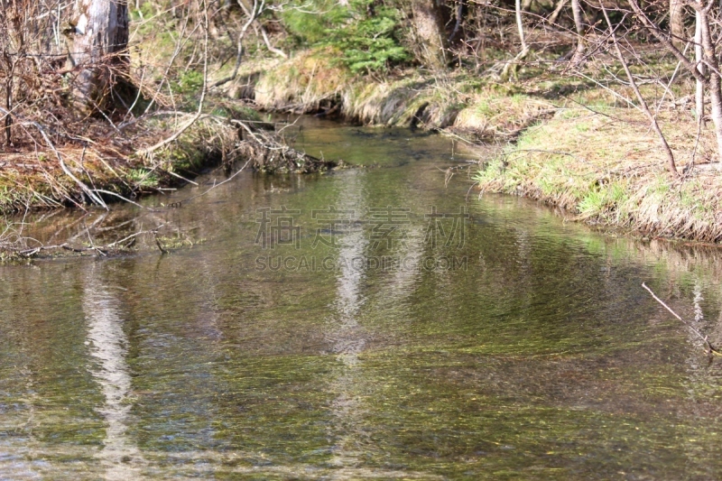 ,梓川,上高地国家公园,长野县,水,水平画幅,无人,户外,植物,2015年