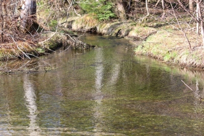 ,梓川,上高地国家公园,长野县,水,水平画幅,无人,户外,植物,2015年