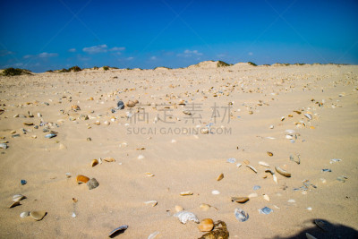 南帕诸岛,德克萨斯,贝壳,海滩,大群动物,国内著名景点,热,平视角,在底端,湖