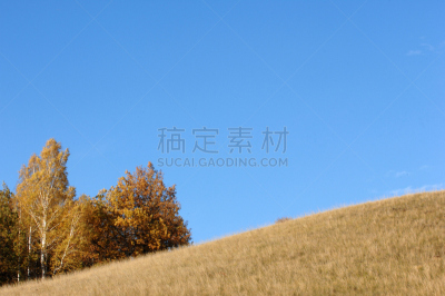 秋天,天空,秋分,水平画幅,枝繁叶茂,九月,图像,温带臭虫,俄罗斯