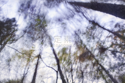 风,不明确的地点,树冠,天空,水平画幅,无人,超现实主义的,户外,树林,彩色图片
