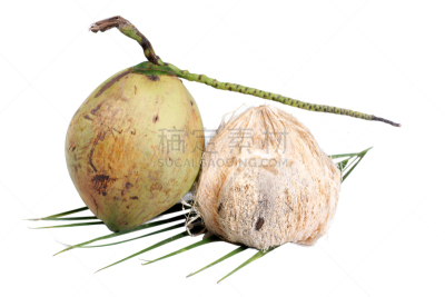 椰子,白色背景,水,水平画幅,素食,无人,椰子树,果汁,夏天,异国情调