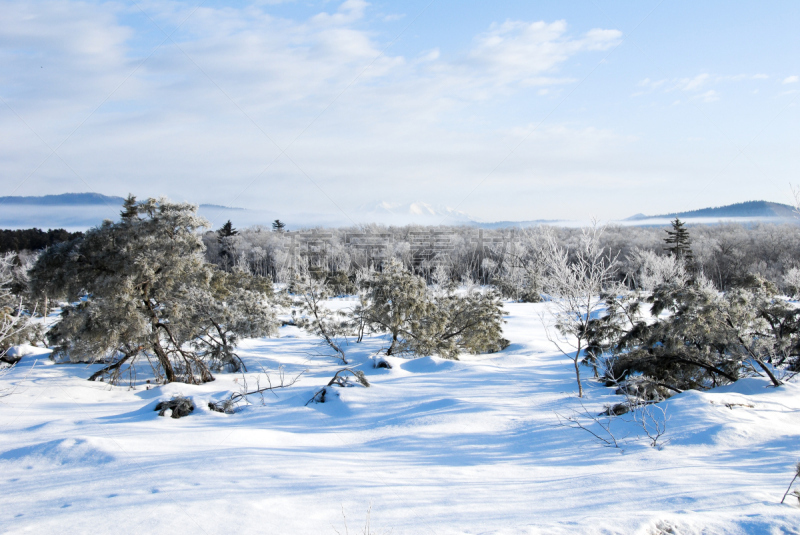 雪地,山,日本,北海道,长春花属,弟子屈,城镇,斜里岳,阿肯国家公园,雾淞