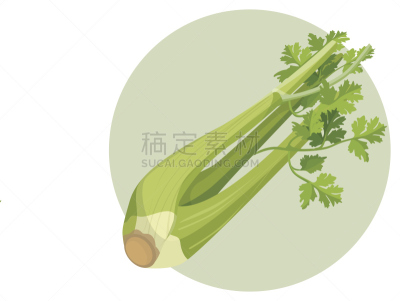 芹菜,白色,清新,圆形,绿色,分离着色,水平画幅,形状,素食,绘画插图