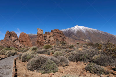 岩石,风景,旅途,野生动物,浪漫,北美歌雀,著名景点,沙漠,植物,背景