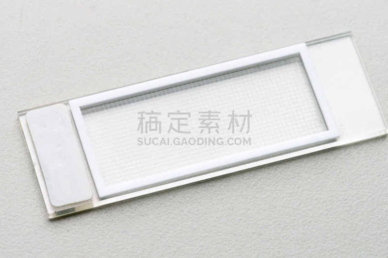 细胞,数,室内管弦乐队,有序,水平画幅,小的,微生物学,有机食品,人,科学