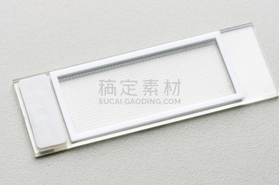 细胞,数,室内管弦乐队,有序,水平画幅,小的,微生物学,有机食品,人,科学