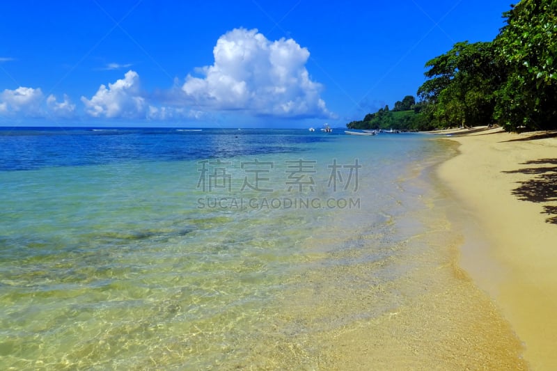 沙子,斐济,海滩,taveuni,水,水平画幅,南太平洋,旅行者,户外,大洋洲