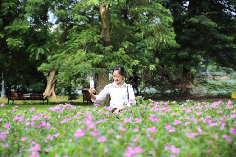 河内,青年女人,女人,仅一个女人,湖岸,水平画幅,便携式信息设备,人,户外,还剑湖