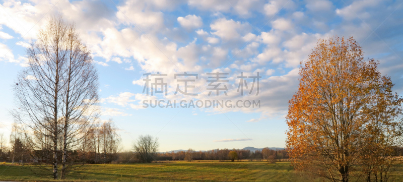 地形,乡村,开着的,小的,城镇,达拉纳,草地围场,秃树,天空,乡村风格