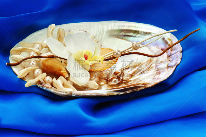 兰花,珊瑚,珍珠牡蛎,青绿色,个人随身用品,休闲活动,芳香的,水平画幅,纺织品,海扇壳
