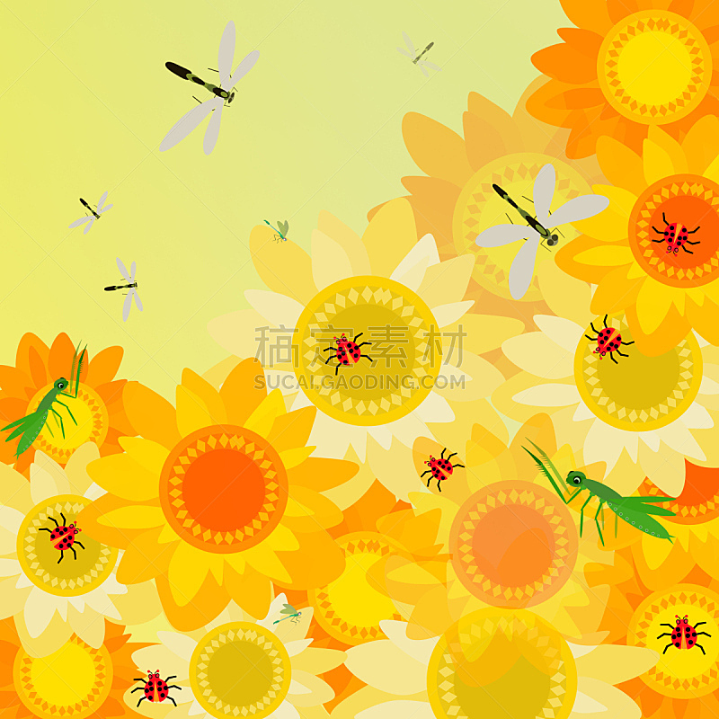 向日葵,昆虫,褐色,无人,绘画插图,夏天,户外,草,向日葵籽,植物