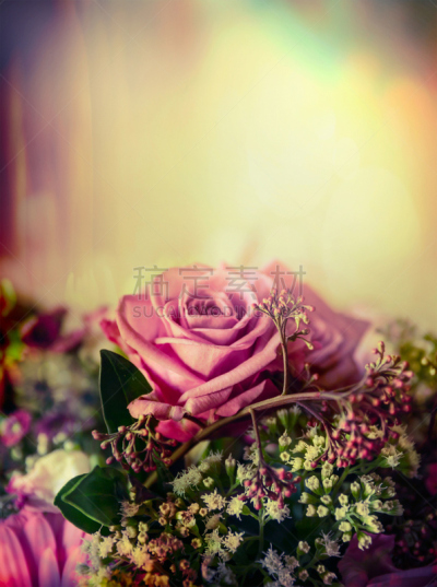 玫瑰,特写,花束,柔和色,粉色,背景,彩色蜡笔,单色图片,垂直画幅,美