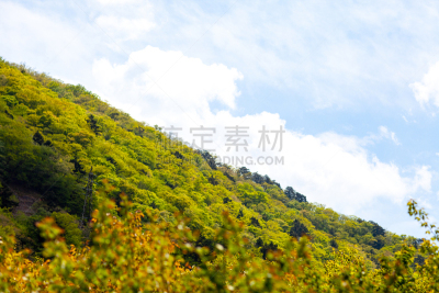 日本,长野县,婚姻,非都市风光,地形,户外,秋天,金色,绿色,蓝色
