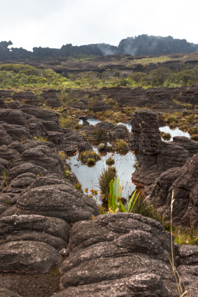 罗赖马山,平顶山,canaima,平顶山区,罗赖马州,委内瑞拉,垂直画幅,南美,无人,户外