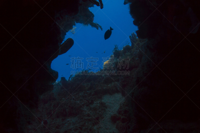 风景,海洋,洞,水,水平画幅,无人,水下,生态多样性,gruntfish,礁石