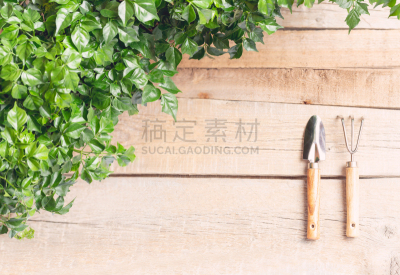 耙子,背景,园艺,叶子,桌子,花盆,园艺器具,光,几乎,木制