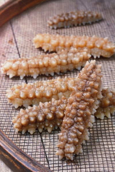 海参,垂直画幅,水,湿,生食,海产,科学,户外,干的,肉