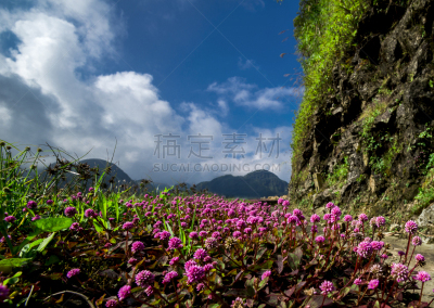 秋天,萨帕,莱州,越南,水平画幅,山,无人,老街省,户外,野生植物