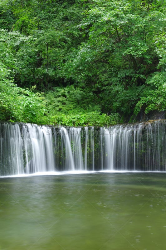 shiraito falls,夏天,自然,垂直画幅,寒冷,旅游目的地,枝繁叶茂,瀑布,长野县,无人