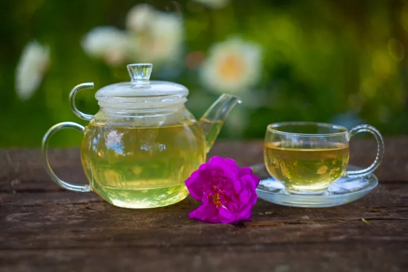 杯 绿茶 自然美 雏菊花环 烧水壶 茶话会 中国茶 花茶 壶 水平画幅图片素材下载 稿定素材 杯 绿茶 自然美 雏菊花环 烧水壶 茶话会 中国茶 花茶 壶 水平画幅图片素材下载 稿定素材
