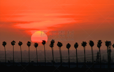 棕榈树,圣伯那丁诺,圣伯纳蒂诺县,海枣树,水平画幅,橙色,无人,加利福尼亚,南加利福尼亚,日落