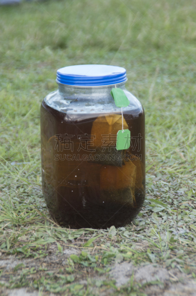 茶,食品加工厂,饮料,垂直画幅,图像,南卡罗来那,液体,美国,茶包,米特海滩