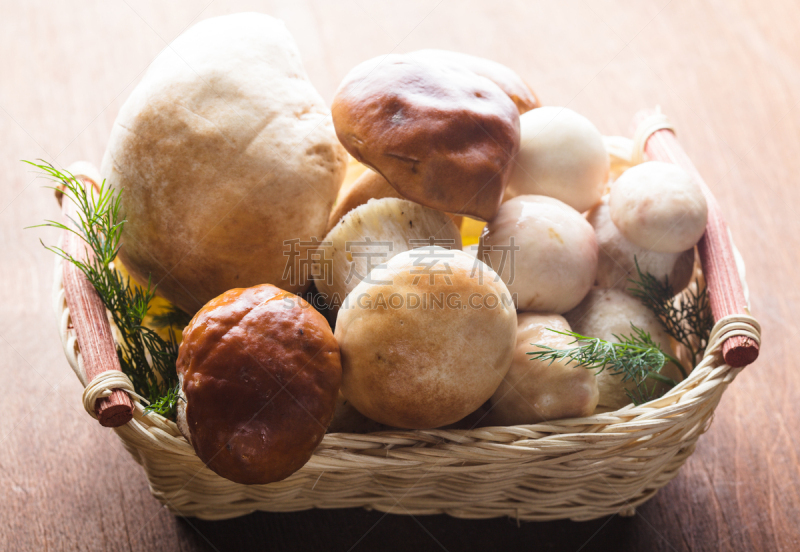 篮子,美味牛肝菌,Porcini Mushroom,自然,褐色,水平画幅,素食,秋天,莳萝,烹调