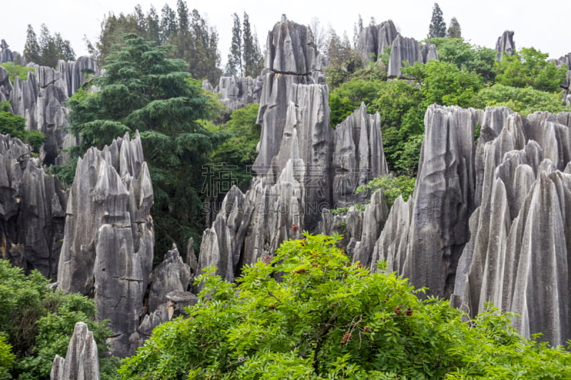 石林,昆明,云南省,风景,喀斯特,自然,非都市风光,旅游目的地,水平画幅,无人