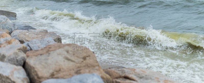 赤潮,海洋,浮游生物繁殖,浮游生物,水,美,水平画幅,睡莲,沙子