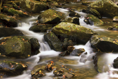 饮用水,岩石,流水,在上面,弗朗西斯·克里克,水,水平画幅,枝繁叶茂,瀑布,户外