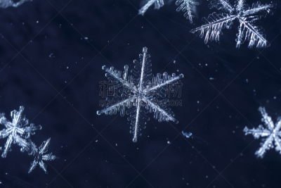 雪花,摩拉维亚星,水平画幅,雪,新年,巨大的,尖利,特写,冰晶