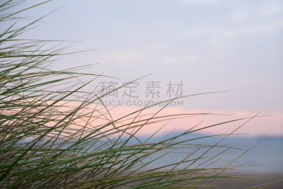 凯瑞郡,滨草,野生植物,天空,风,戈尔韦,水平画幅,沙子,无人,大西洋